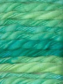 Patagonia Bulky Araucania Hillsborough Yarn Shop