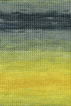 Merino+ Color - Hillsborough Yarn Shop