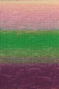 Merino+ Color - Hillsborough Yarn Shop