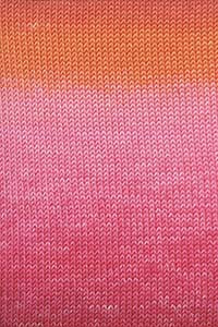 Merino+ Color - Hillsborough Yarn Shop