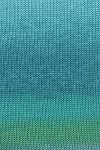 Merino+ Color - Hillsborough Yarn Shop