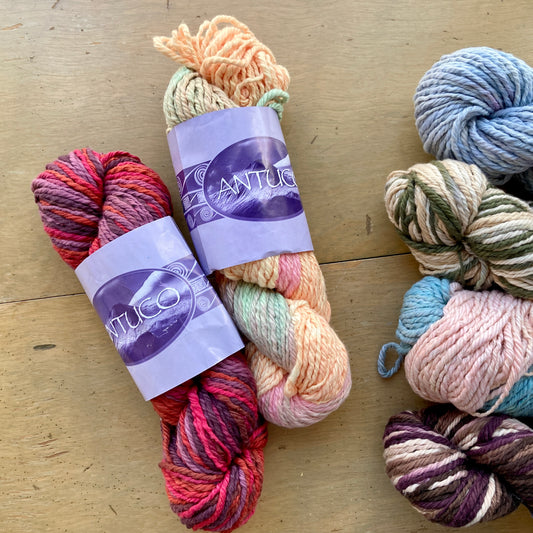 Antuco Bulky Ester Bitran Hand Dyes Hillsborough Yarn Shop