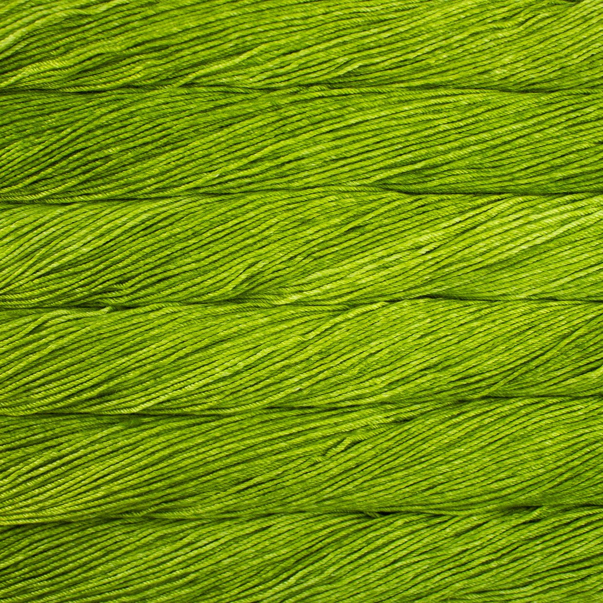 Skein of semisolid apple green Malabrigo Caprino yarn.