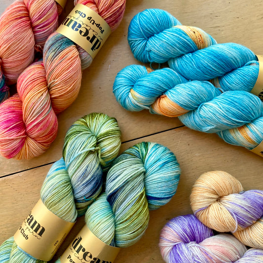 Smooshy Cashmere Fingering Dream in Color Hillsborough Yarn Shop