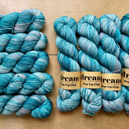 Smooshy Cashmere Fingering Dream in Color Hillsborough Yarn Shop