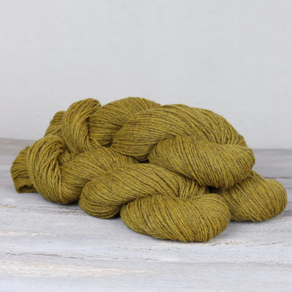 Lore DK The Fibre Co. Hillsborough Yarn Shop