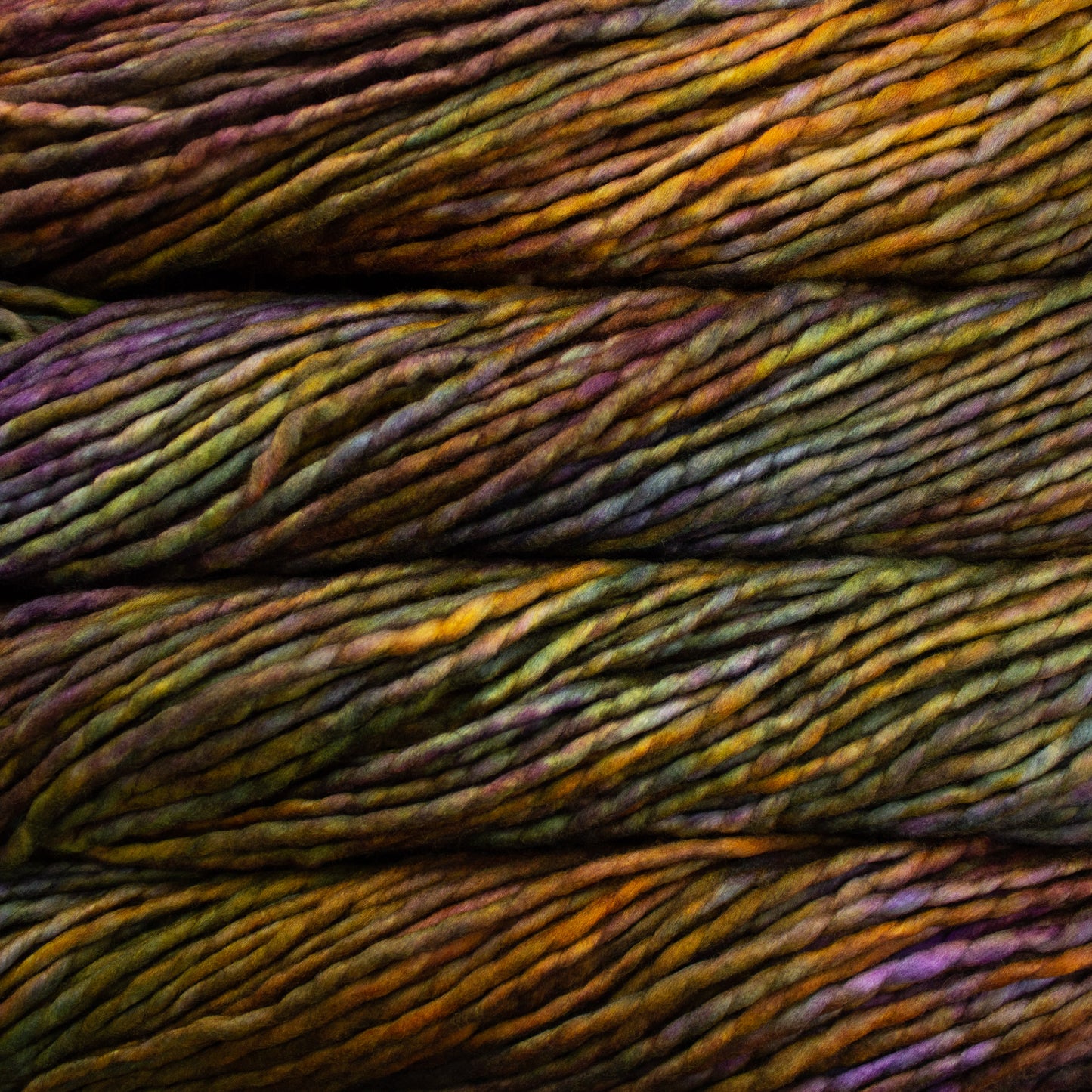 Rasta Super Bulky Malabrigo Hillsborough Yarn Shop