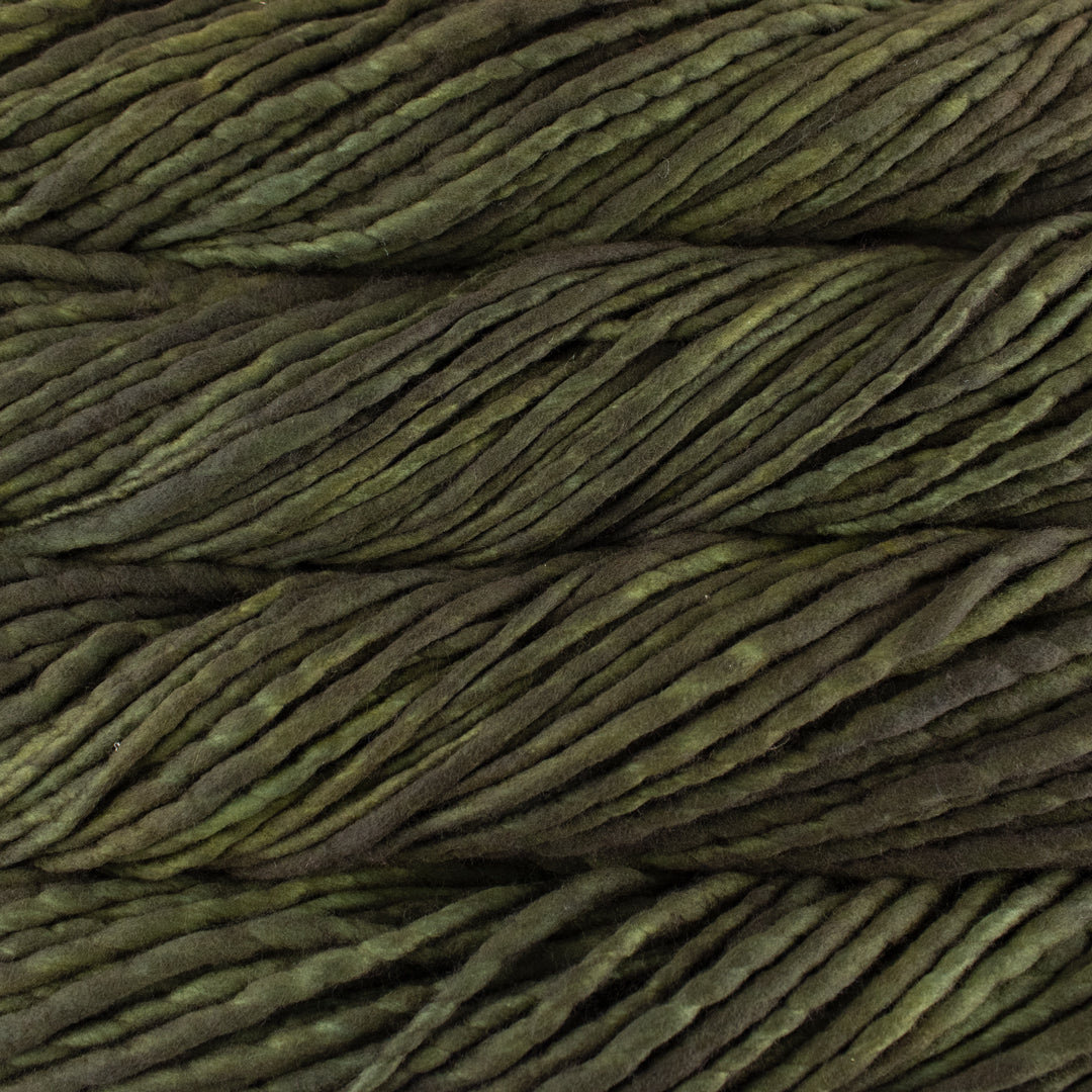 Close up on olive green skein of Malabrigo Rasta yarn.