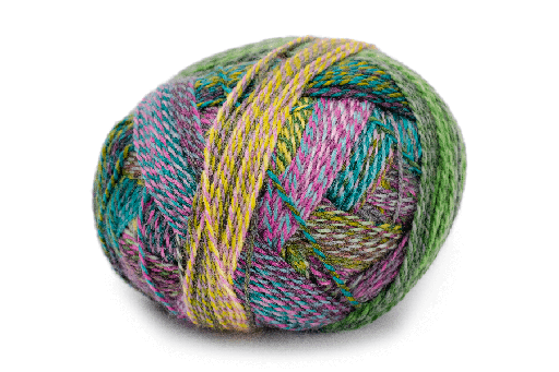 Zauberball Crazy Fingering Schoppel-Wolle Hillsborough Yarn Shop