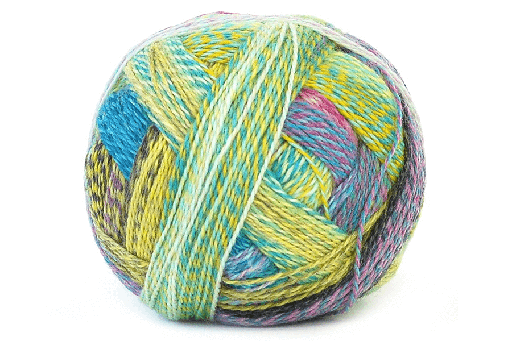 Zauberball Crazy Fingering Schoppel-Wolle Hillsborough Yarn Shop