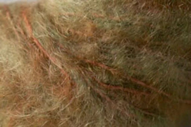 Close up of rust and green Jo Sharp mohair yarn.