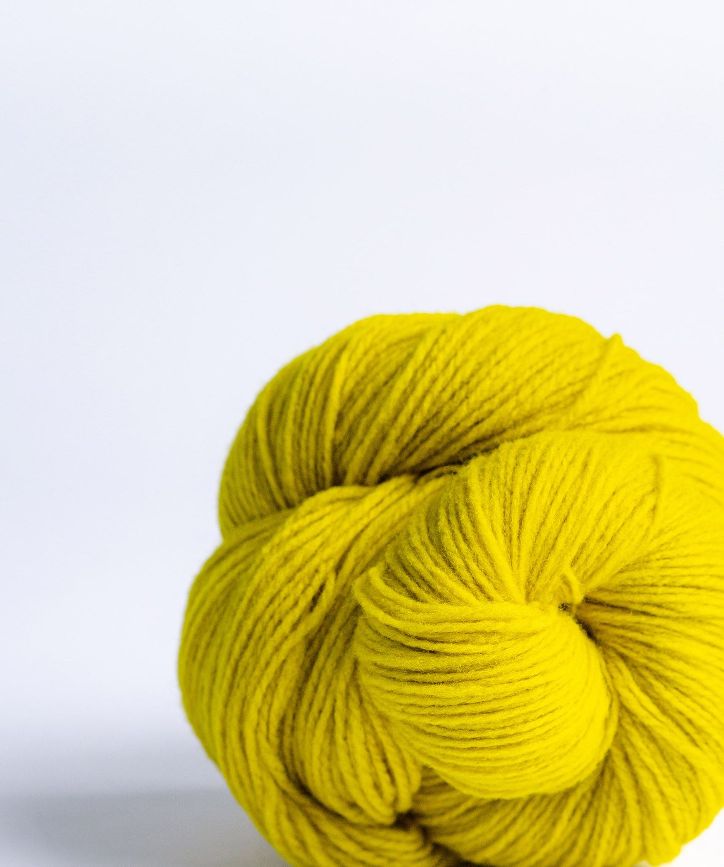 Pollen yellow ball of Brooklyn Tweed Loft yarn. 