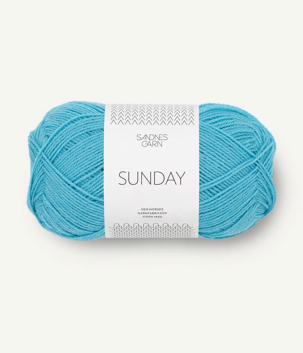 Sunday - Hillsborough Yarn Shop