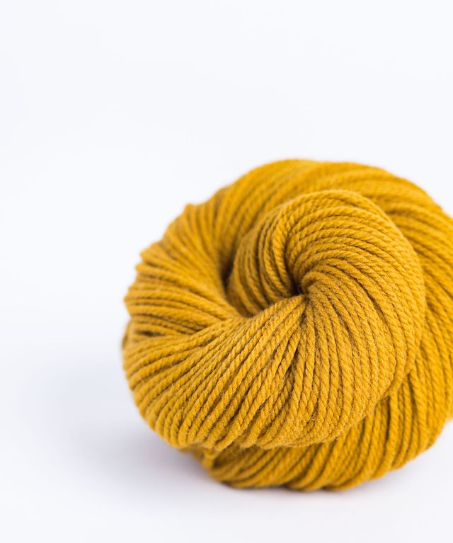 Skein of mustard yellow Brooklyn Tweed Arbor yarn in color Klimt - Hillsborough Yarn Shop - Hillsborough, NC, USA