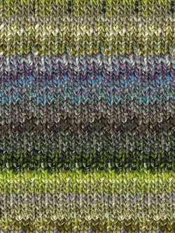 Silk Garden Chunky - Hillsborough Yarn Shop