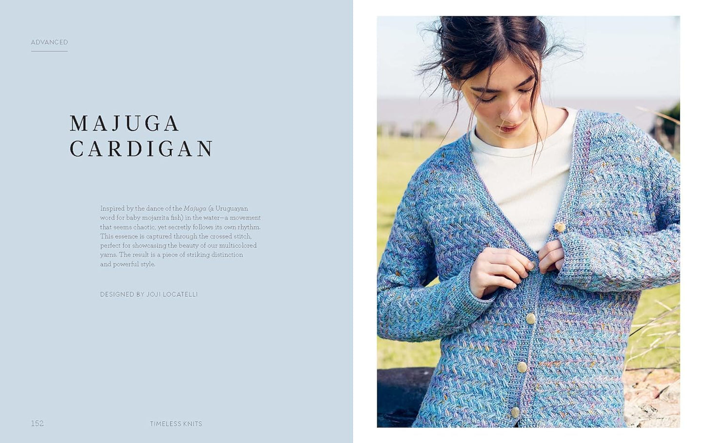 Timeless Knits: Classic Knitting Patterns from the Heart of Uruguay Books Malabrigo Hillsborough Yarn Shop