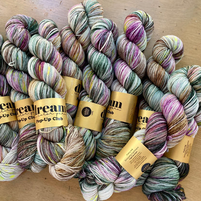 Smooshy Cashmere Fingering Dream in Color Hillsborough Yarn Shop