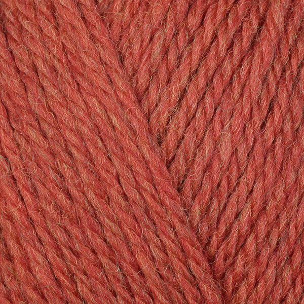 Close up on a ball of Berroco Ultra Wool DK yarn in burnt orange shade, colorway 83122 Sunflower