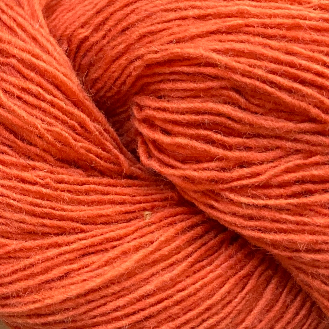 Close up on a bright orange skein of Briggs & Little Sport yarn. 