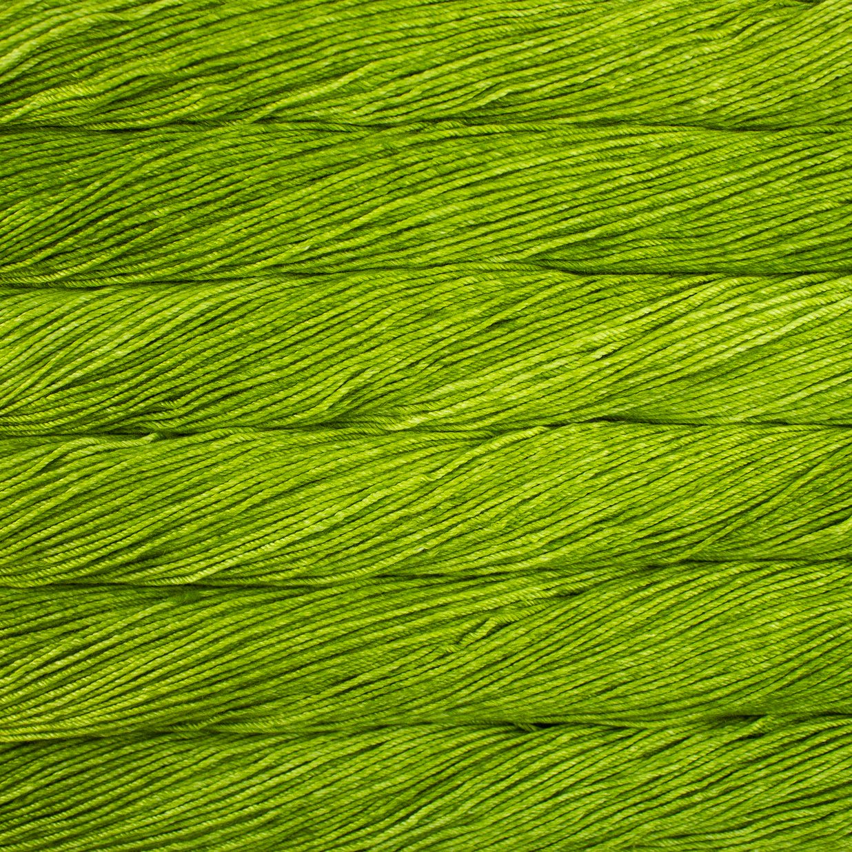 Skein of semisolid apple green Malabrigo Caprino yarn. 