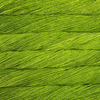 Skein of semisolid apple green Malabrigo Caprino yarn. 