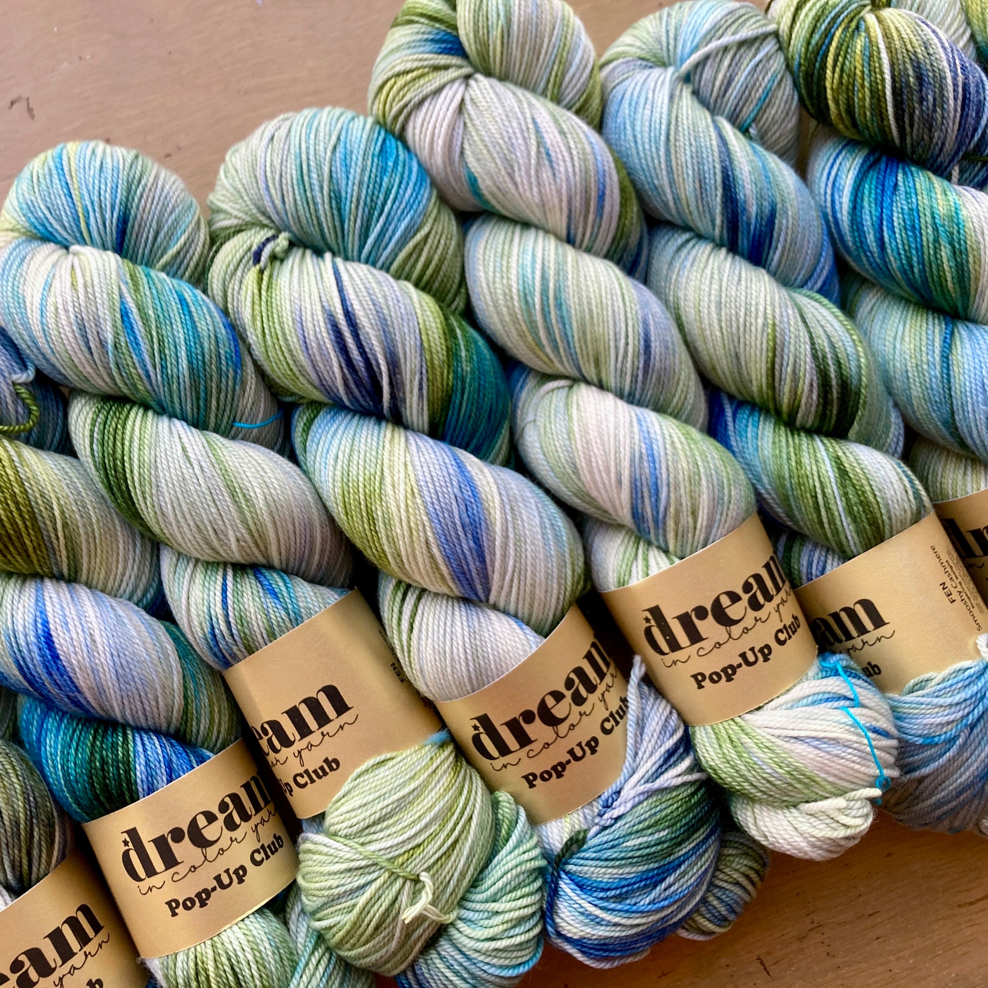 Variegated blue and green skeins of Dream in Color Smooshy Cashmere yarn, for sale at Hillsborough Yarn Shop, NC, USA.