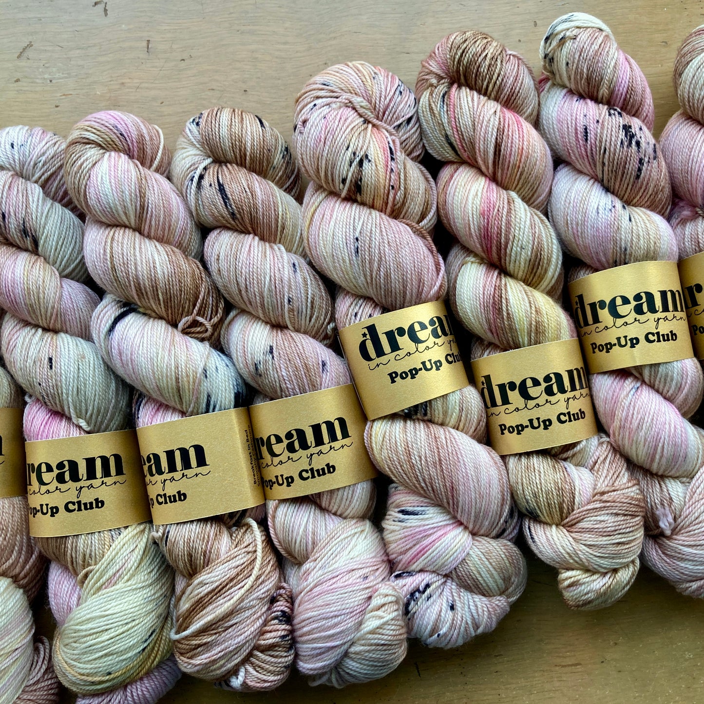 Smooshy Cashmere Fingering Dream in Color Hillsborough Yarn Shop