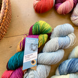 Colorful skeins of variegated Fleece Artist / Hand Maiden Bluenose Socks yarn at Hillsborough Yarn Shop