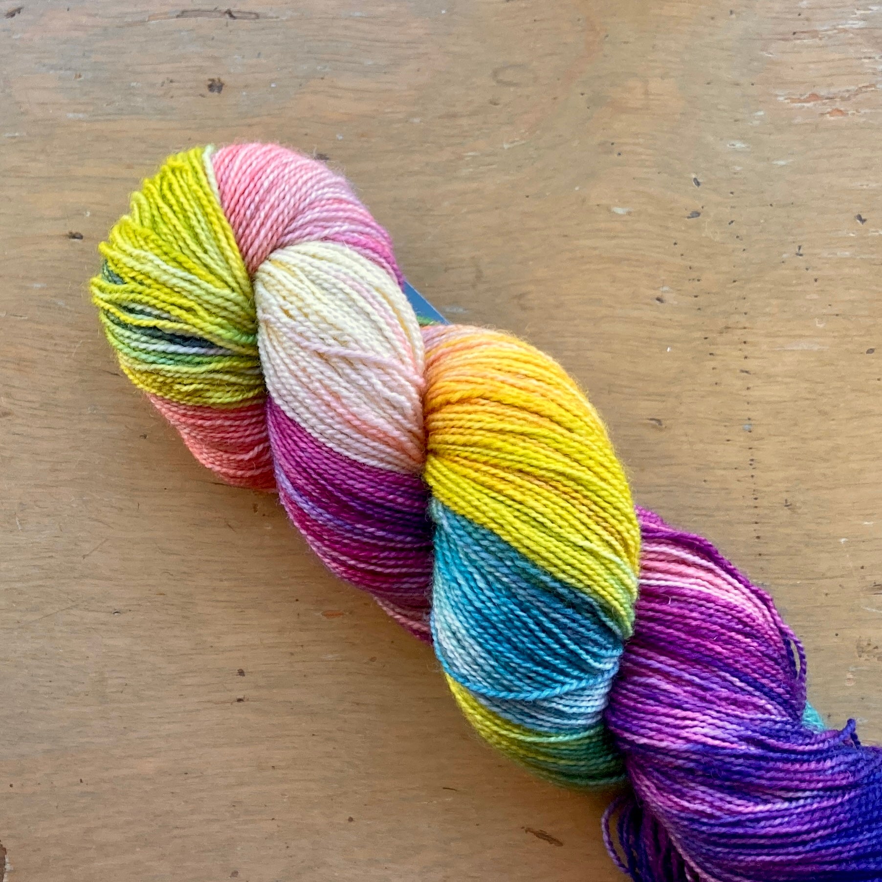 Variegated rainbow Fleece Artist / Hand Maiden yarn, colorway Lupins