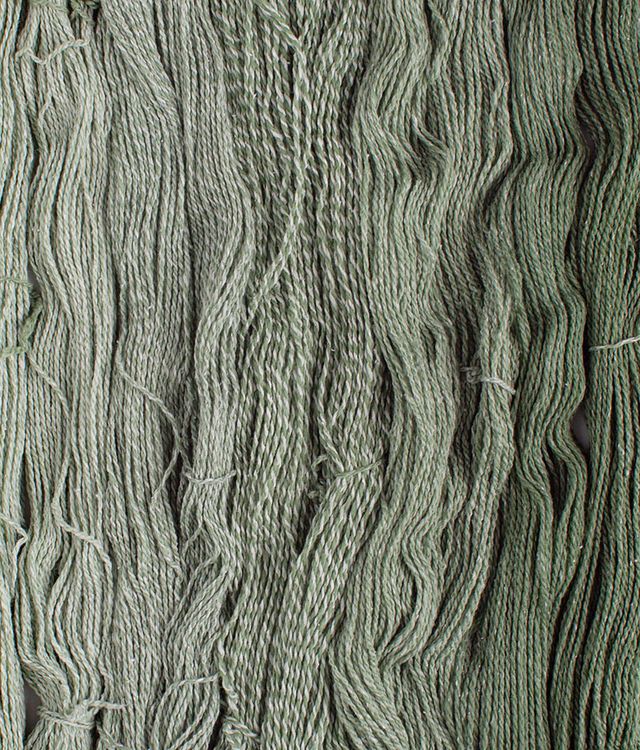 Skeins of sage green Brooklyn Tweed Dapple yarn. 