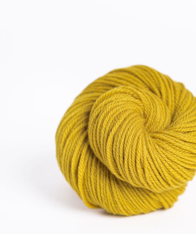 Skein of yellow Brooklyn Tweed Arbor yarn in color Tincture - Hillsborough Yarn Shop - Hillsborough, NC, USA