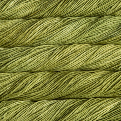Rios Worsted Malabrigo Hillsborough Yarn Shop