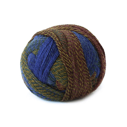 Zauberball Crazy Fingering Schoppel-Wolle Hillsborough Yarn Shop