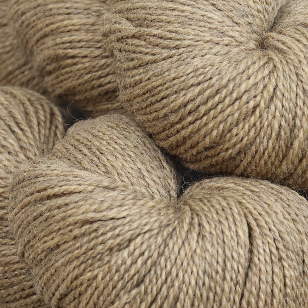 Amble Fingering The Fibre Co. Hillsborough Yarn Shop