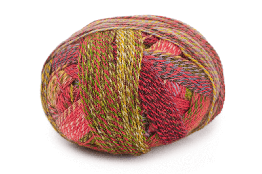 Zauberball Crazy Fingering Schoppel-Wolle Hillsborough Yarn Shop