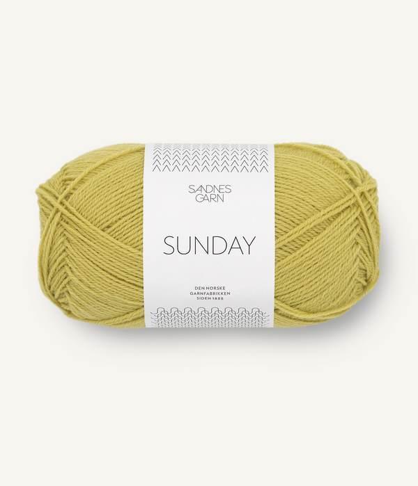 Sunday - Hillsborough Yarn Shop