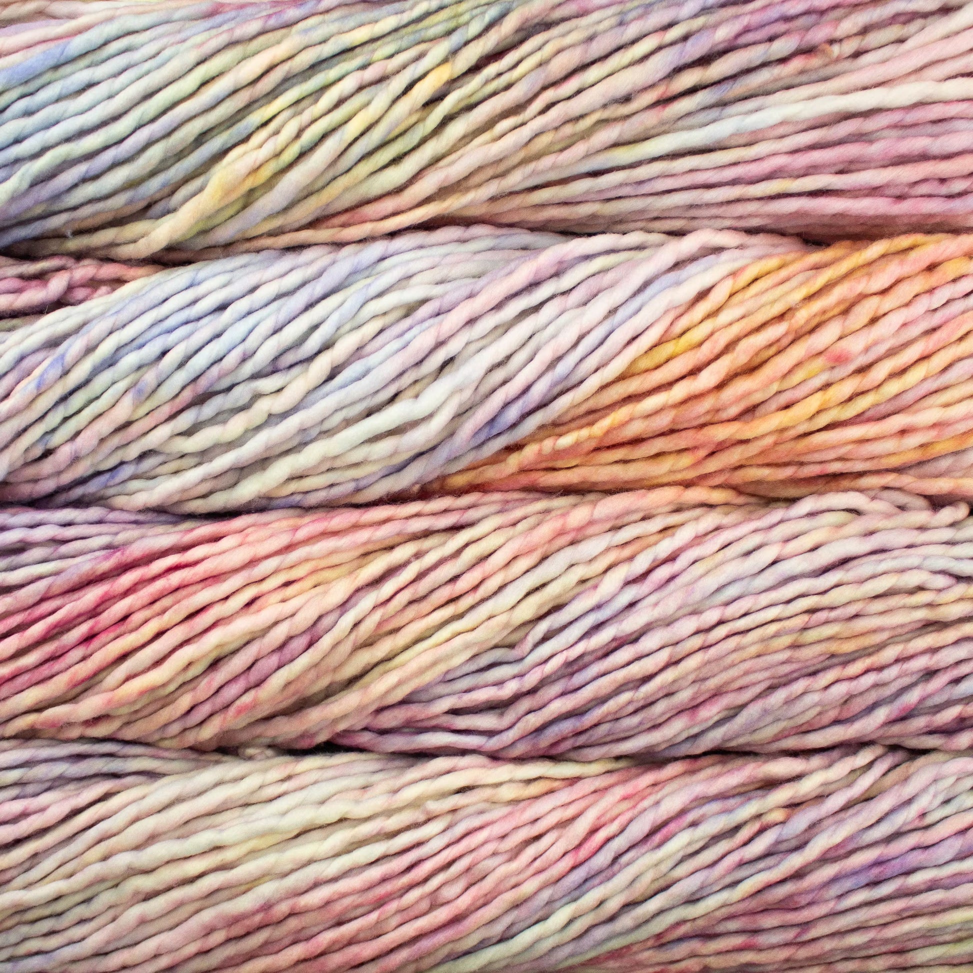 Rasta Super Bulky Malabrigo Hillsborough Yarn Shop