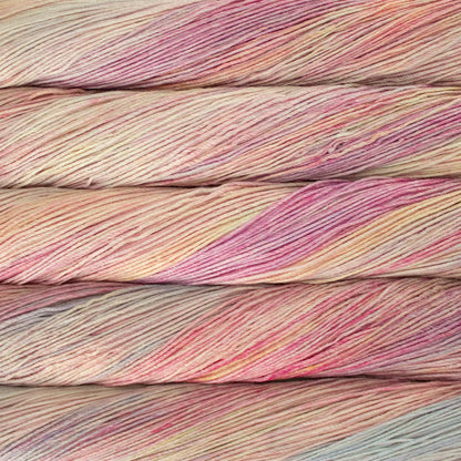 Arroyo Sport Malabrigo Hillsborough Yarn Shop
