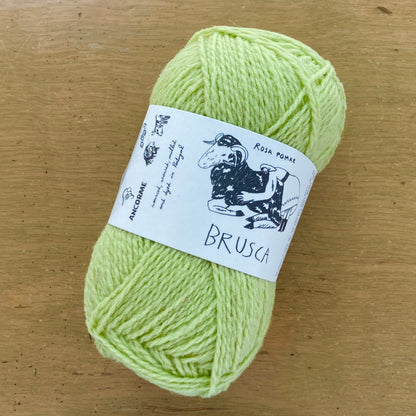 Brusca Worsted Retrosaria Rosa Pomar Hillsborough Yarn Shop