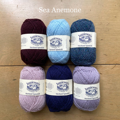 Shetland Wool Week Hat Kit: Birsie Beanny Kits Jamieson's Hillsborough Yarn Shop