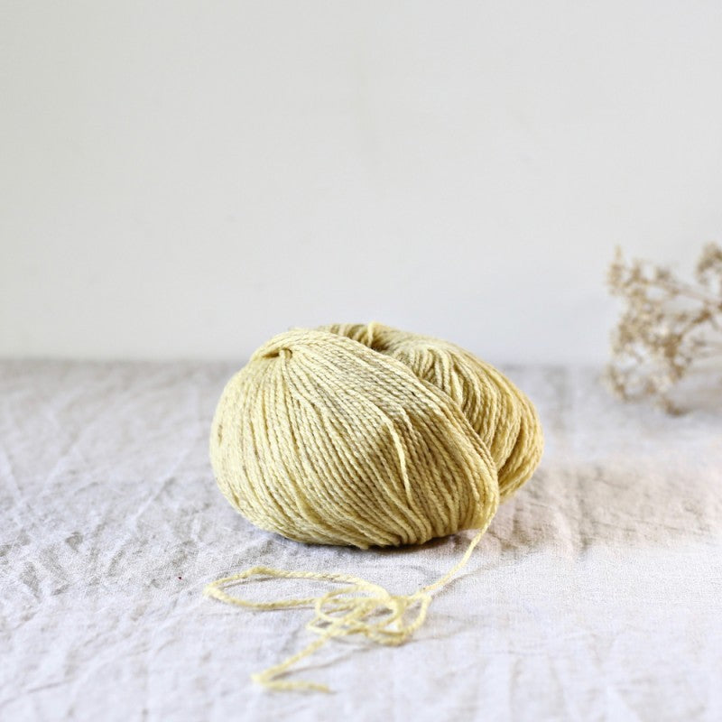 Ulysse Sport De Rerum Natura Hillsborough Yarn Shop